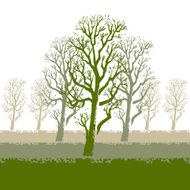 Perspective Trees