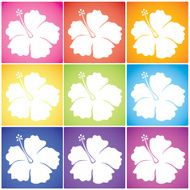 Hibiscus Squares