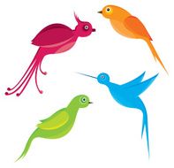 Birds N109