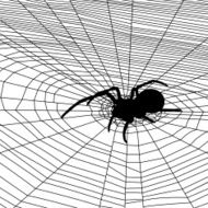 Spider Web Background N2