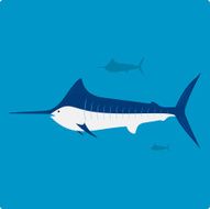 Blue Marlin N3