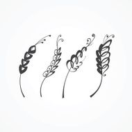 Wheat (ears)