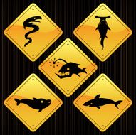 Yellow Signs - Fishes N2