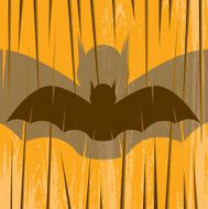 Bat N14