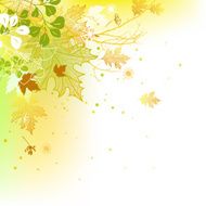 Spring Corner Design