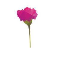 Flower isolated on a white backgrounds