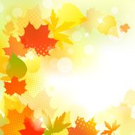 Autumn Background N117