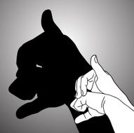 Shadow Puppet Bulldog