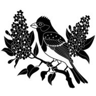 purple finch and lilacs