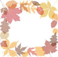 autumn leaves N84