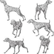 Weimaraner Silhouette