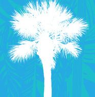 Palm Tree Summer Background