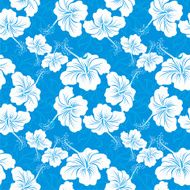 Hawaiian patterns