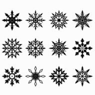 Snowflake Vector N4