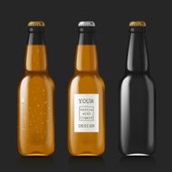 Sample of empty beer bottles N3