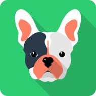 Vector dog icon flat design N4