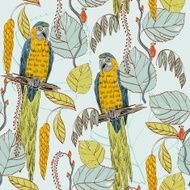 Parrot N26