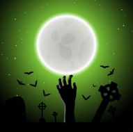 Halloween greeting card N61