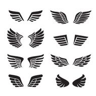 Wings black icons vector set (silhouettes) Minimalistic design