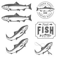 Vintage fresh fish salmon emblems badges and design elements set N2