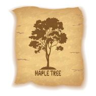 Maple Tree on Old Paper