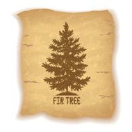 Christmas Fir Tree on Old Paper