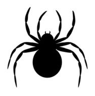 Black Spider N3