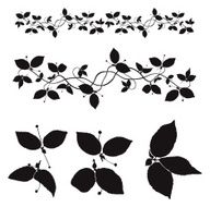foliage - vector