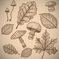 Autumn Background N118