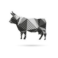 Cow abstract isolated on a white background