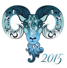 Ornamental and decorative sheep N2