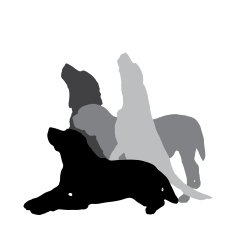 Vector silhouette of a dog N179