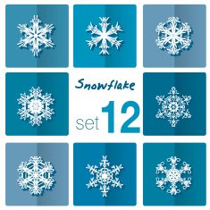 Snowflake icon Winter theme snowflakes of different shapes N25