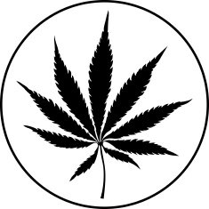 Hemp N2