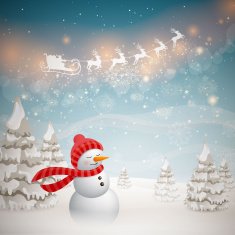 Vector Christmas Design with Snowman N14