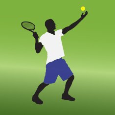 Vector silhouette of a man N874