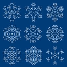 Snowflake icon Winter theme snowflakes of different shapes N27