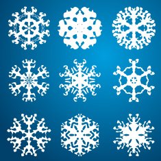 Snowflake icon Winter theme snowflakes of different shapes N28
