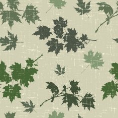 maple leaves N23