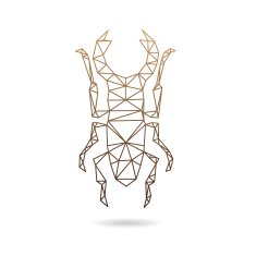 Beetle abstract isolated on a white backgrounds vector illustration N3