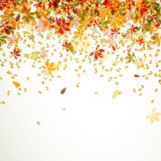 Vector autumn leaves N18