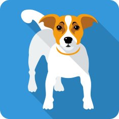 Vector dog icon flat design N3