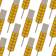 Seamless background pattern of an ear wheat