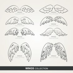 wings collection (set of