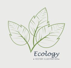 Ecology design N36