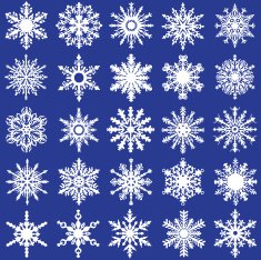 Set of 25 snowflakes N2