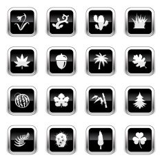 Supergloss Black Icons - Botanic