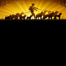 Dog Walker N9