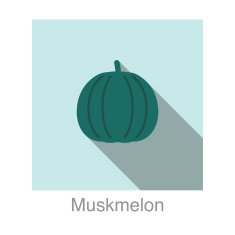 Muskmelon food and drink flat icon series N4