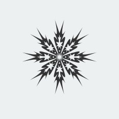 snowflake icon N23